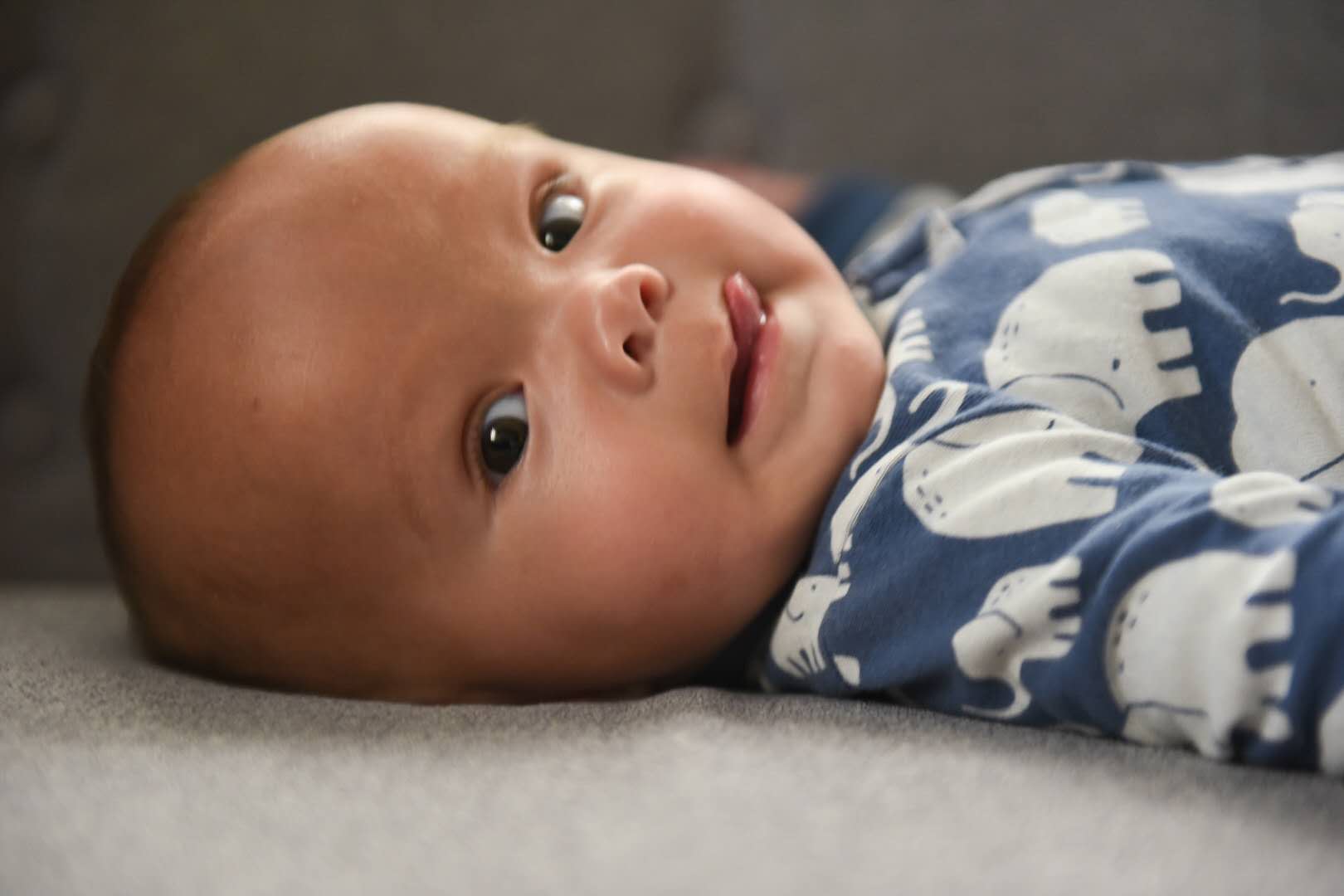 Finnley G