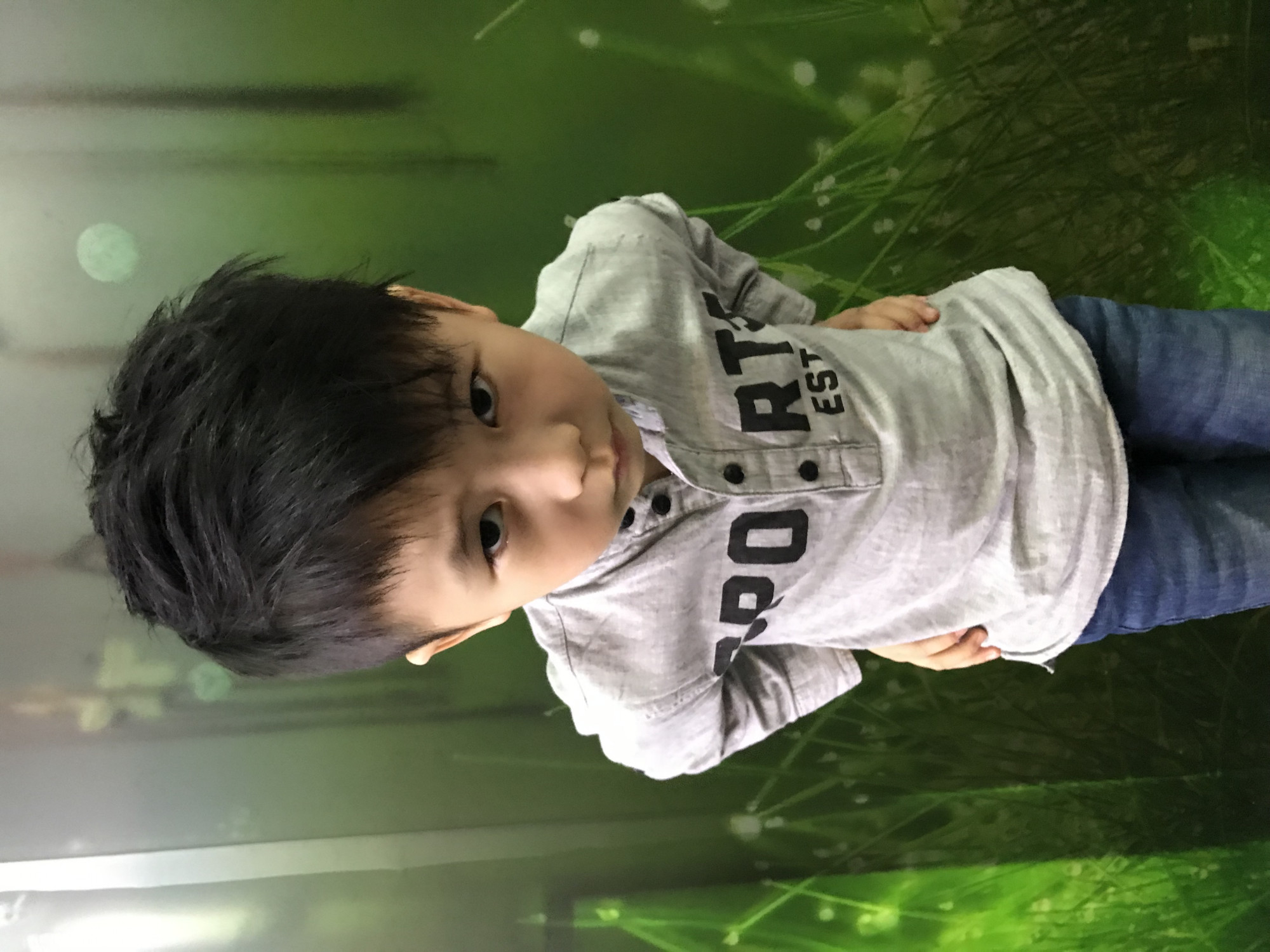 Gavin T